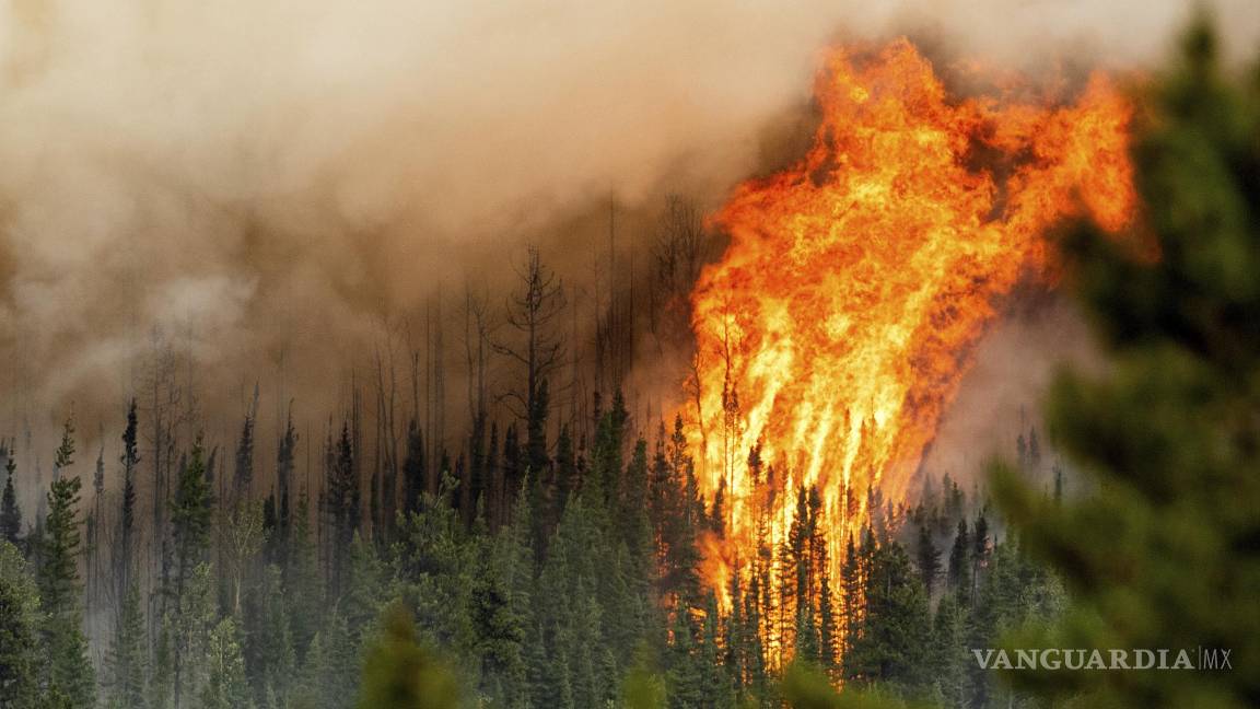 $!Las llamas del incendio forestal de Donnie Creek arden a lo largo de una cresta al norte de Fort St. John, Columbia Británica, el domingo 2 de julio de 2023.