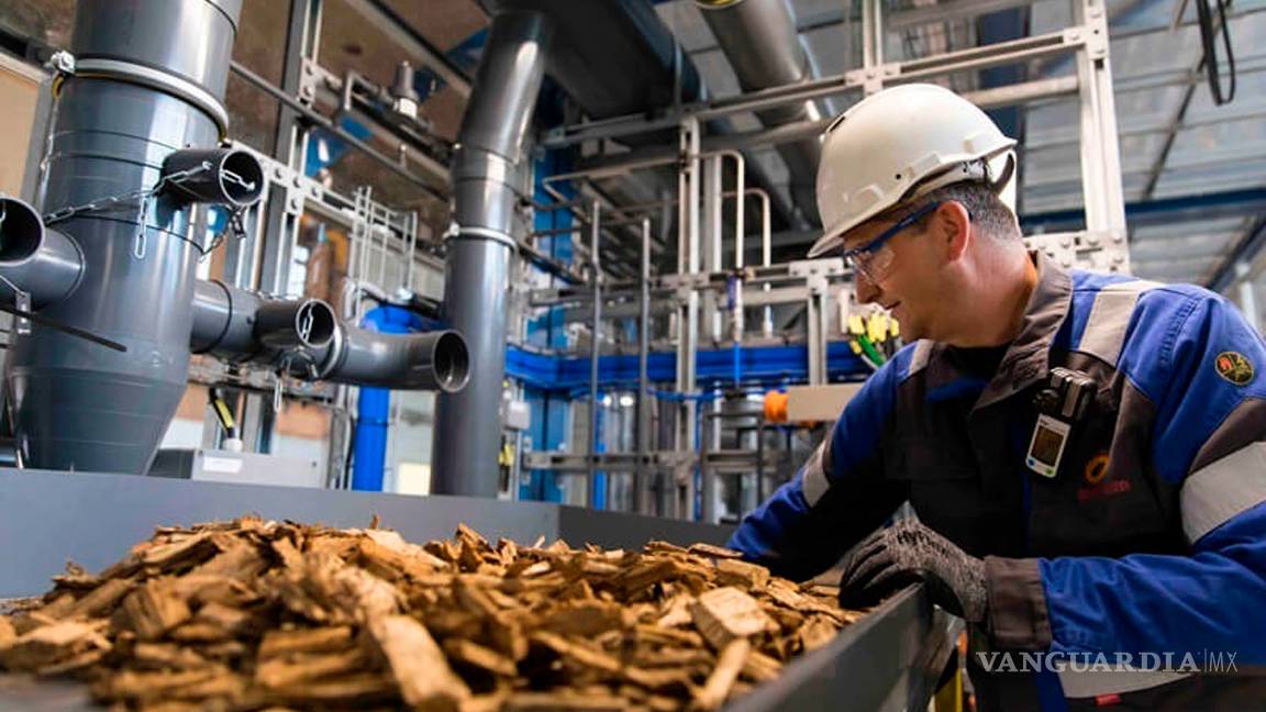 $!Llega el plástico vegetal que permitirá fabricar envases que se degradarán en tan solo un año