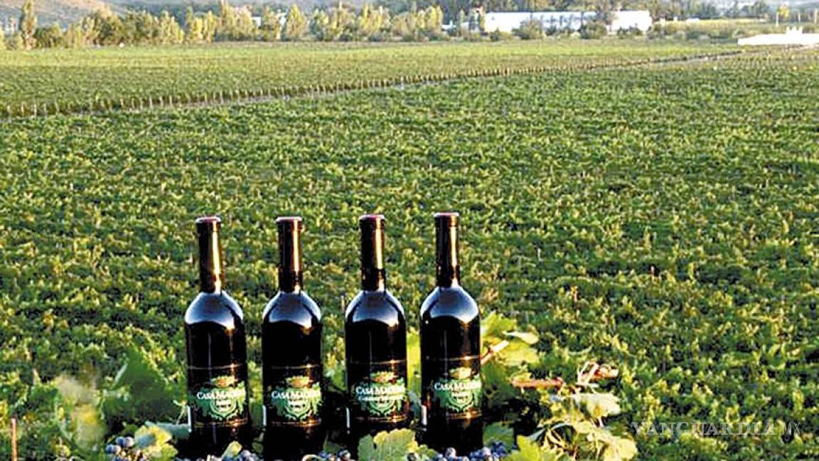 Apoyan con 60 mdp a productores de vino de Coahuila