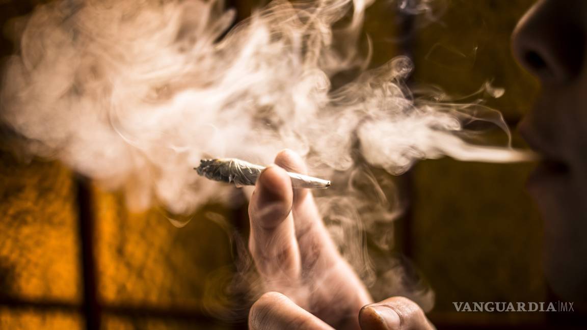 La SMART solicita dejar de criminalizar consumo de mariguana y frenar violencia