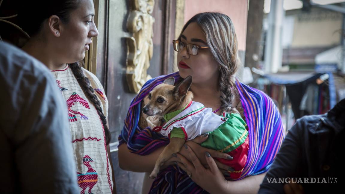 México aprueba mejores condiciones en compra-venta de animales domésticos