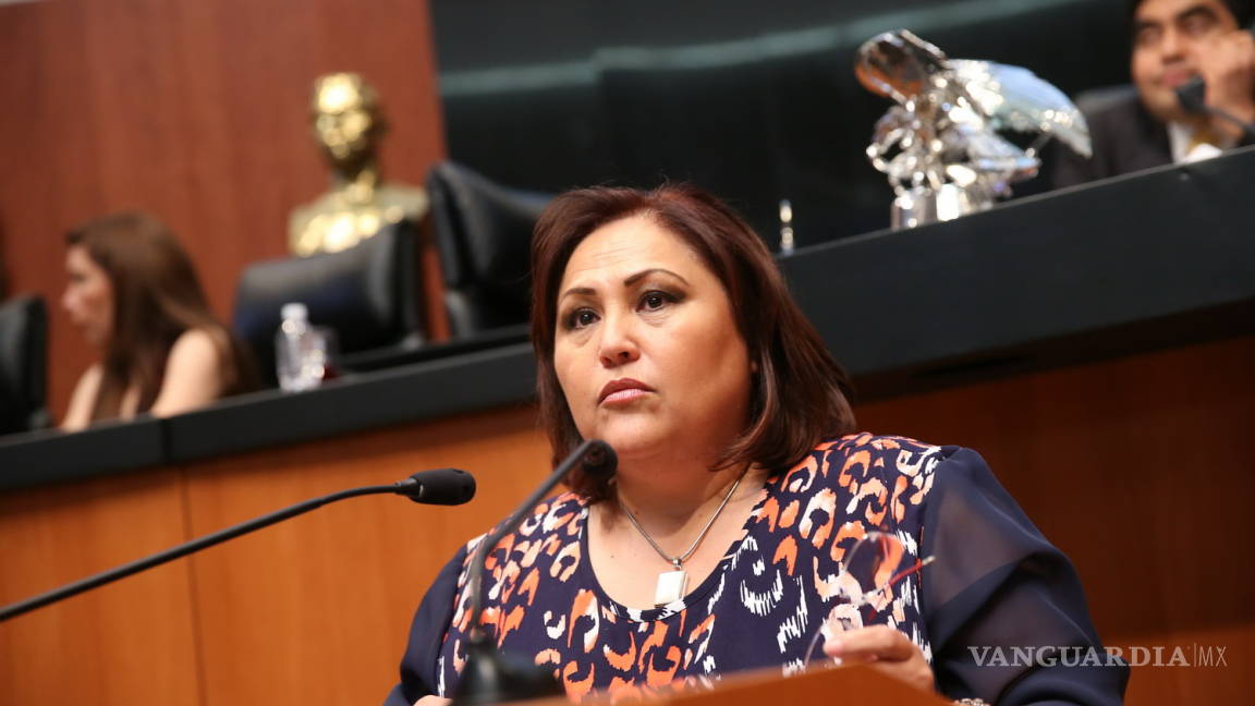 Silvia Garza exhorta en el Senado a que entreguen tierras a campesinos de Ocampo
