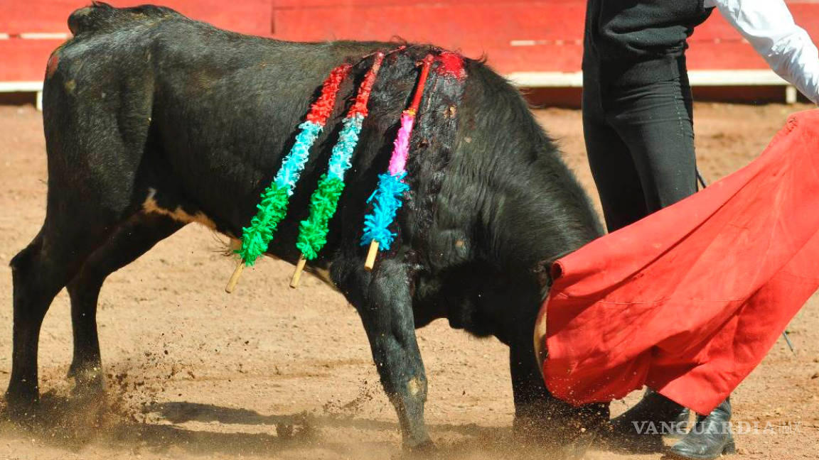 Pide diputado se investigue a juez que autoriza las corridas de toros en Torreón