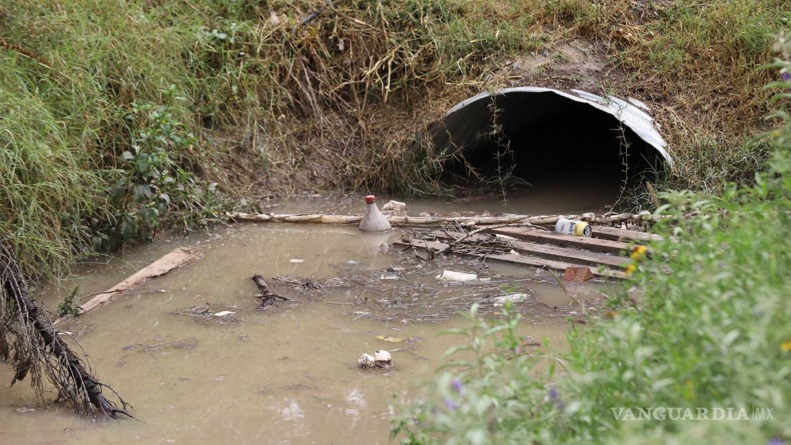 $!Alcantarillas desbordadas por basura acumulada, lo que contribuye a problemas de drenaje y aumenta el riesgo de inundaciones en las calles.