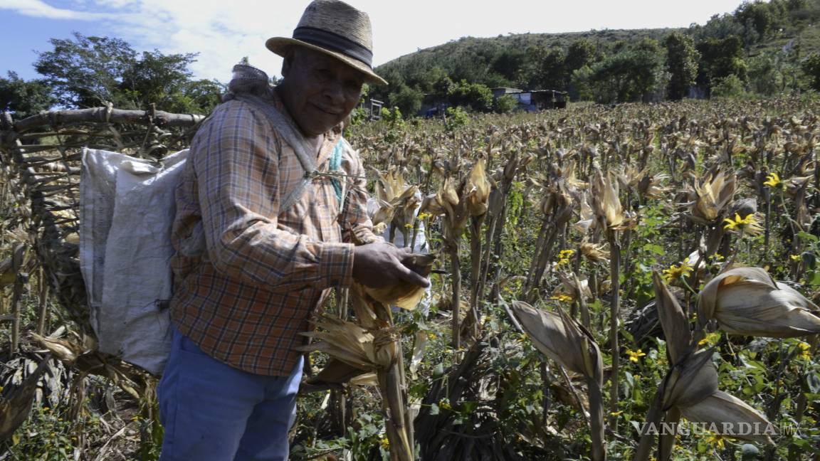 Ordenan a Segob pagar a campesinos