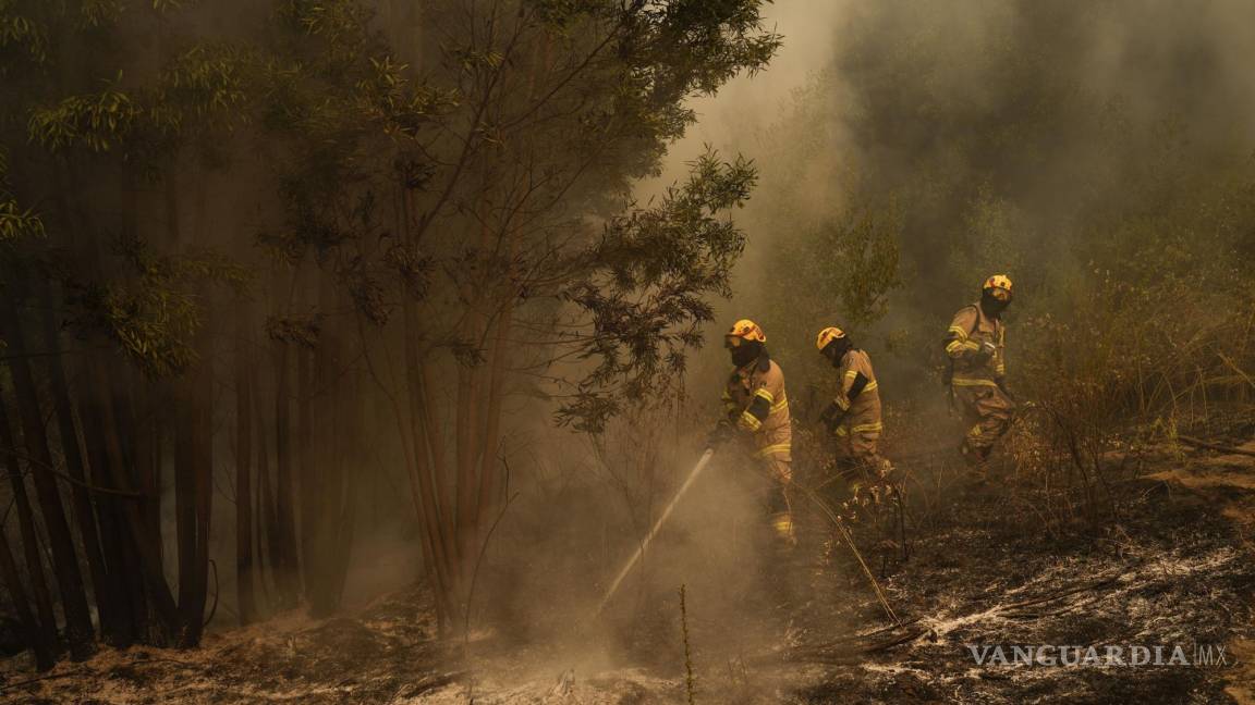 Cientos de combatientes hacen frente a los más de 300 incendios en Chile
