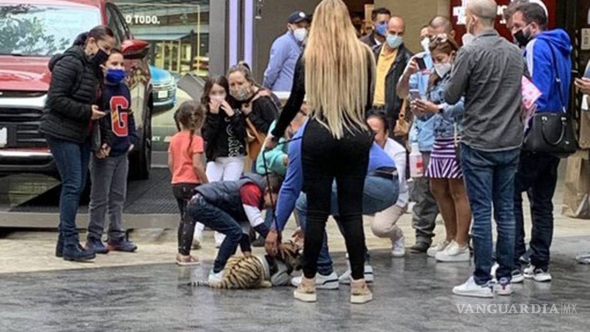 $!Mujer que paseó Tigre es pareja de futbolista del América