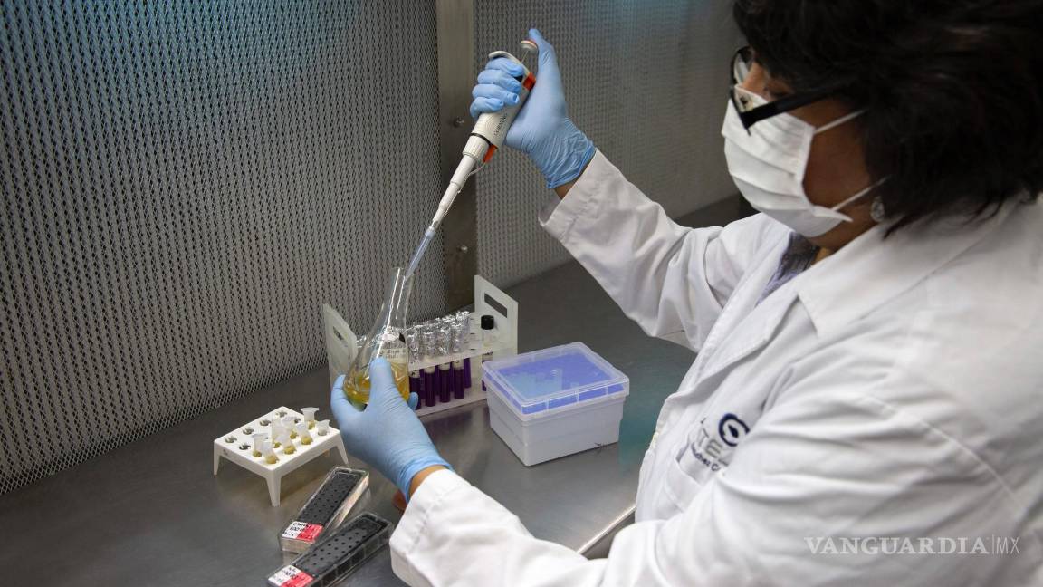 $!La Dra. María de los Ángeles Sánchez Contreras conserva las cepas de levadura patentadas de Gran Maizal para la fermentación del whisky en Mérida, Yucatán.