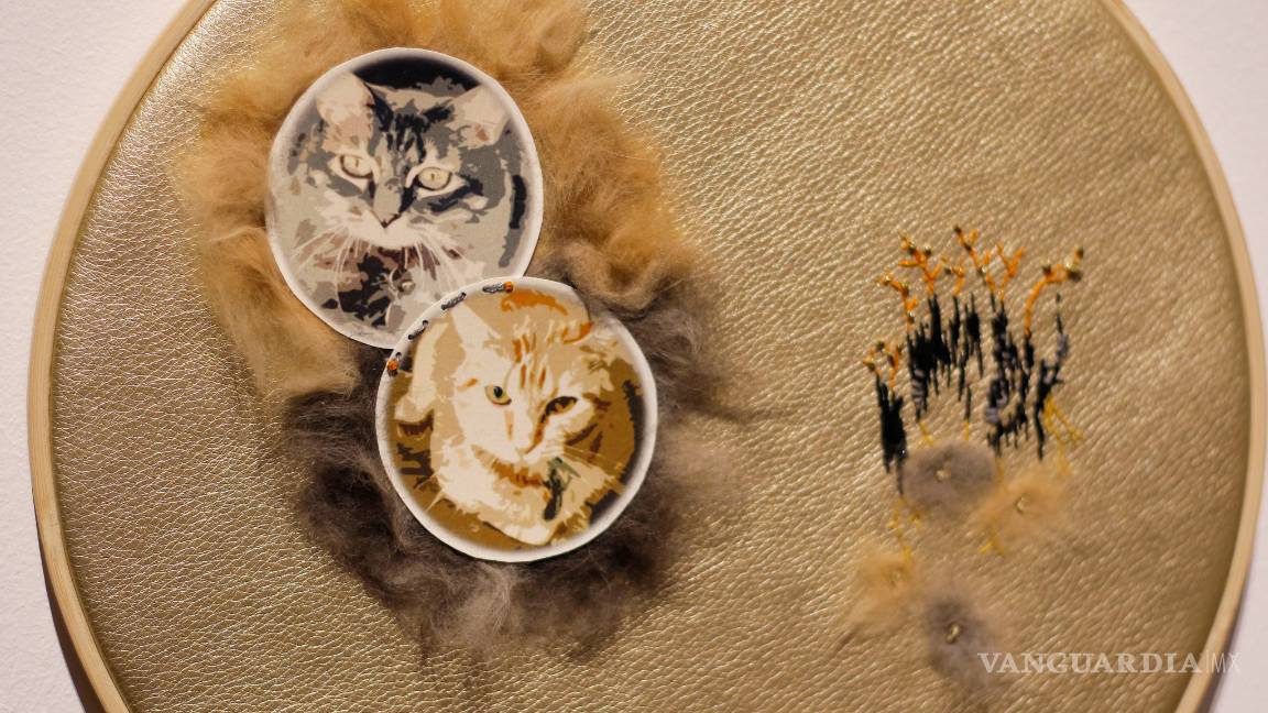 $!Exponen las acumulaciones de recuerdos en 'Objeto Animal'