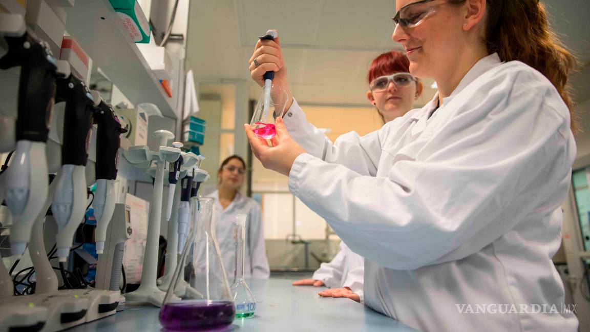 $!Llega el plástico vegetal que permitirá fabricar envases que se degradarán en tan solo un año