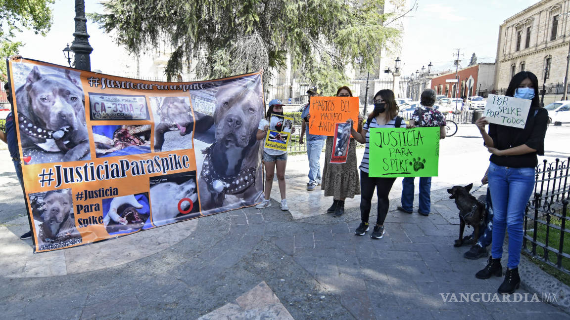 Exigen justicia por Spike, pitbull agredido por policía de Coahuila