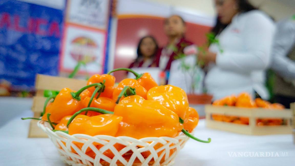 La convención mundial del chile en Torreón consolida a los productores del estado