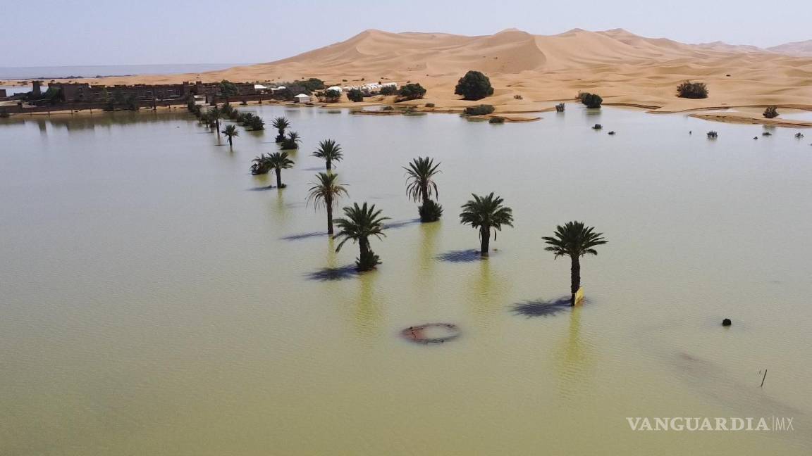 $!Las palmeras se inundan en un lago causado por las fuertes lluvias en la ciudad desértica de Merzouga, cerca de Rachidia, sureste de Marruecos.