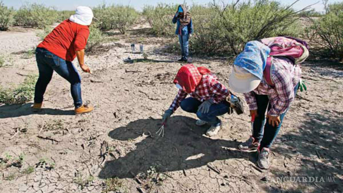 Suman 100 mil restos óseos encontrados en Coahuila