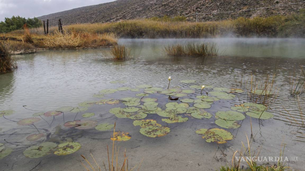 En Coahuila, 'frenan concesiones en zona protegida de Cuatro Ciénegas': Pronatura