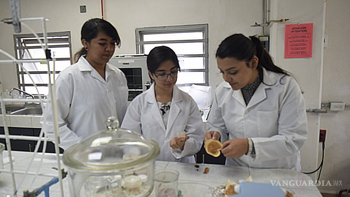 Estudiantes mexicanas desarrollan bioplástico a partir del hueso de aguacate