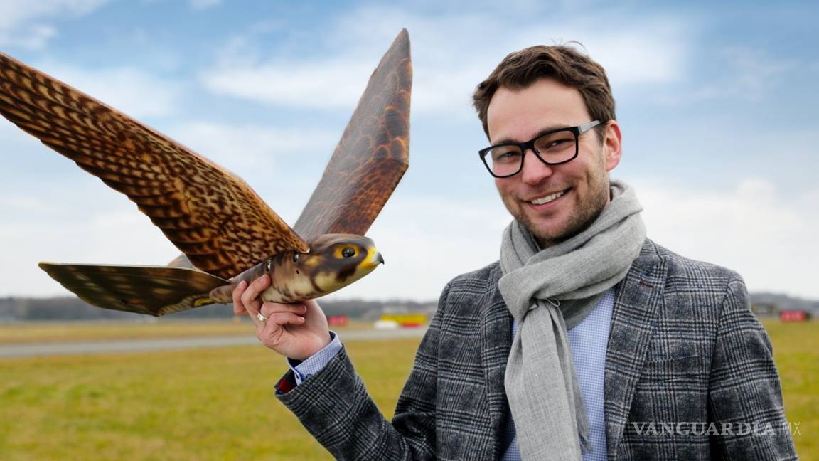 $!“Robird”, el robot halcón que cuida del aeropuerto de Edmonton en Canadá