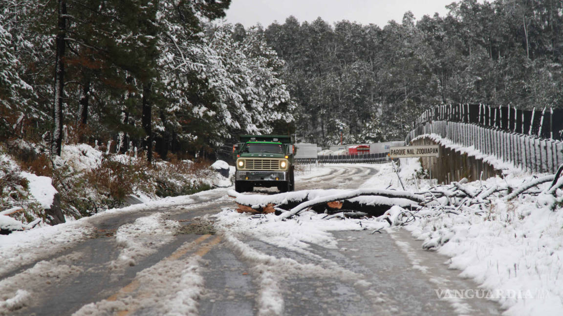 Policía Federal mantiene recorridos en carreteras del norte del país ante helada y nevadas