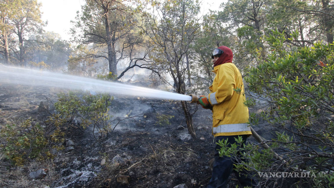 $!¡Ahora fue un corto! Fuego afecta 600 hectáreas en Arteaga