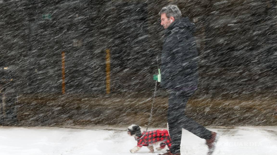 $!Una persona pasea a su perro bajo la nieve que cae en Toronto mientras una tormenta invernal avanza por la región.