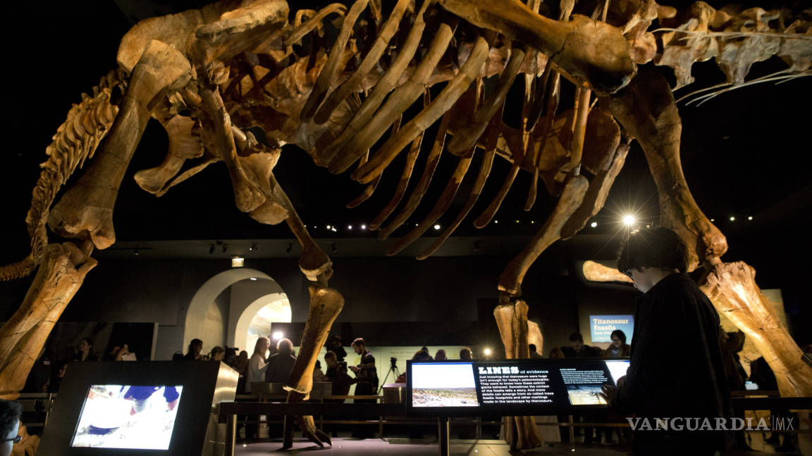 Nueva York exhibirá réplica de titanosaurio, uno de los mayores dinosaurios