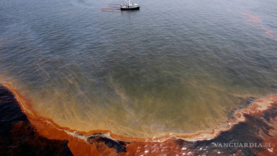 $!A 10 años de la explosión de la plataforma Deepwater Horizon la vida silvestre del Golfo de México sigue siendo afectada