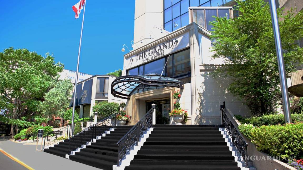 $!Destinos pet friendly para viajar con tu mascota