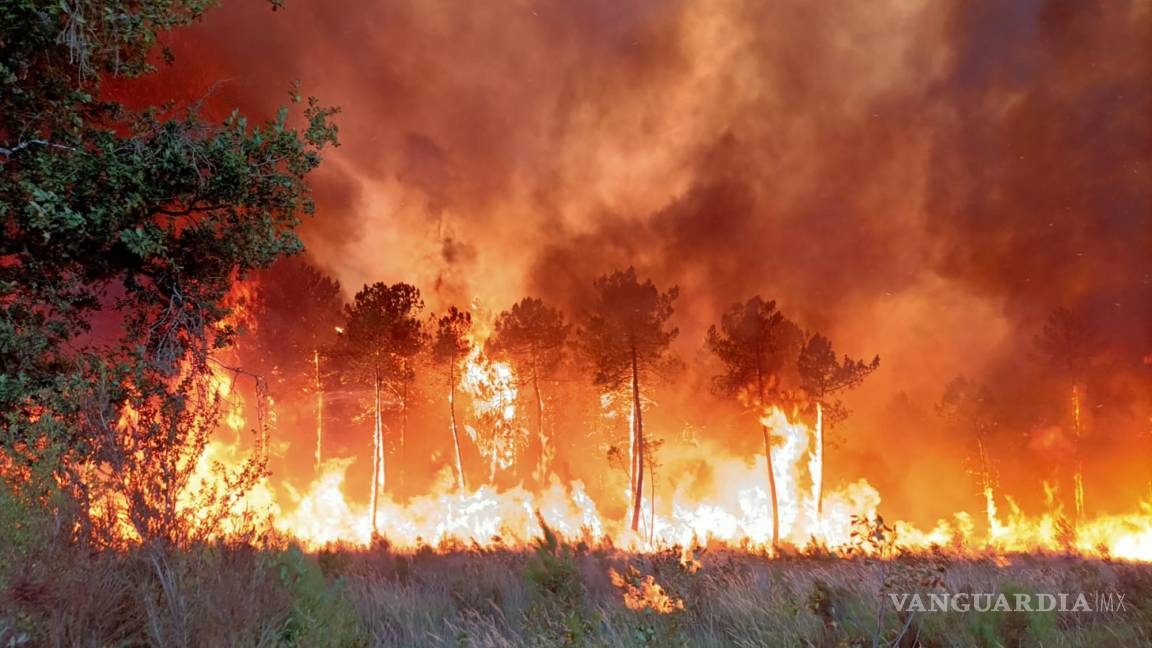 $!Esta foto proporcionada por el cuerpo de bomberos de la región de Gironde (SDIS 33) muestra un incendio forestal cerca de Landiras, en el suroeste de Francia.