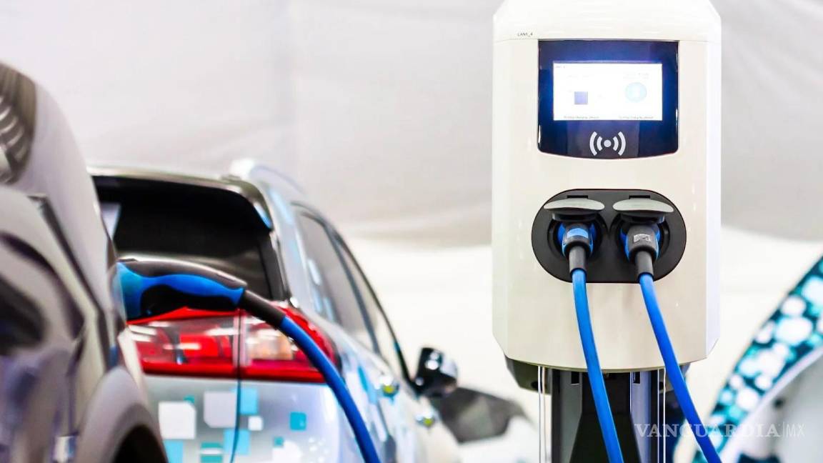 Se alían Tesla, BYD y otras empresas en México para impulsar la electromovilidad