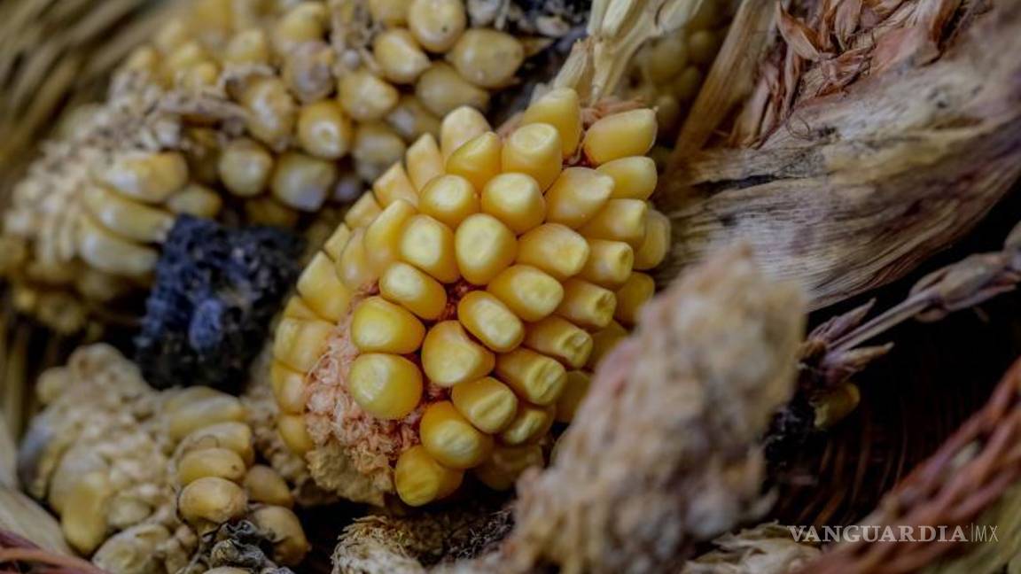 $!De acuerdo con datos de la FAO, nuestro país ocupa la primera posición en el uso alimentario por habitante a nivel global.