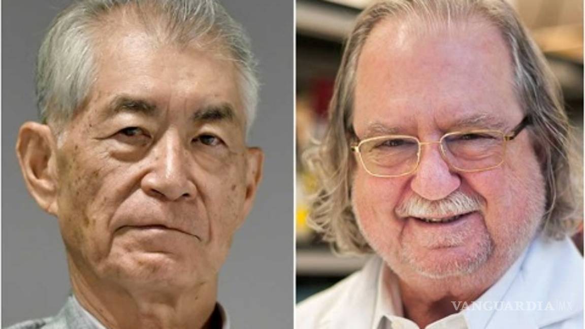 $!Dan Nobel de Medicina a investigadores de terapias contra cáncer