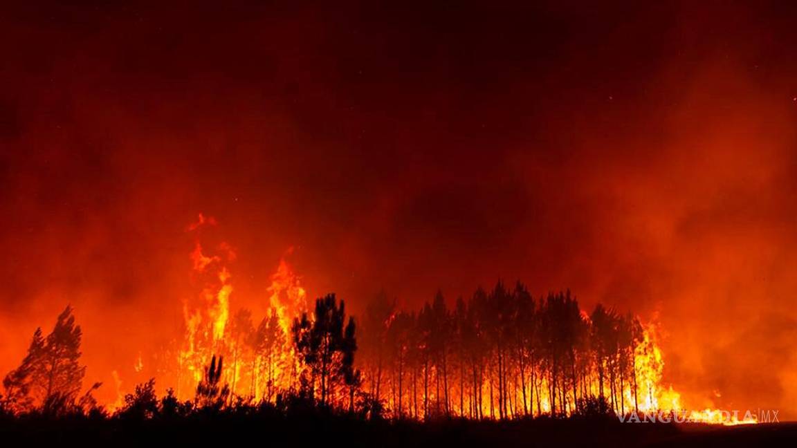 $!Fuego devora casi 700 mil hectáreas de bosque en Europa