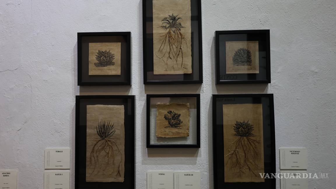 $!Laura Valdez inaugura exposición de pintura ‘Contrastes’: Reúne el mar y el desierto con arte