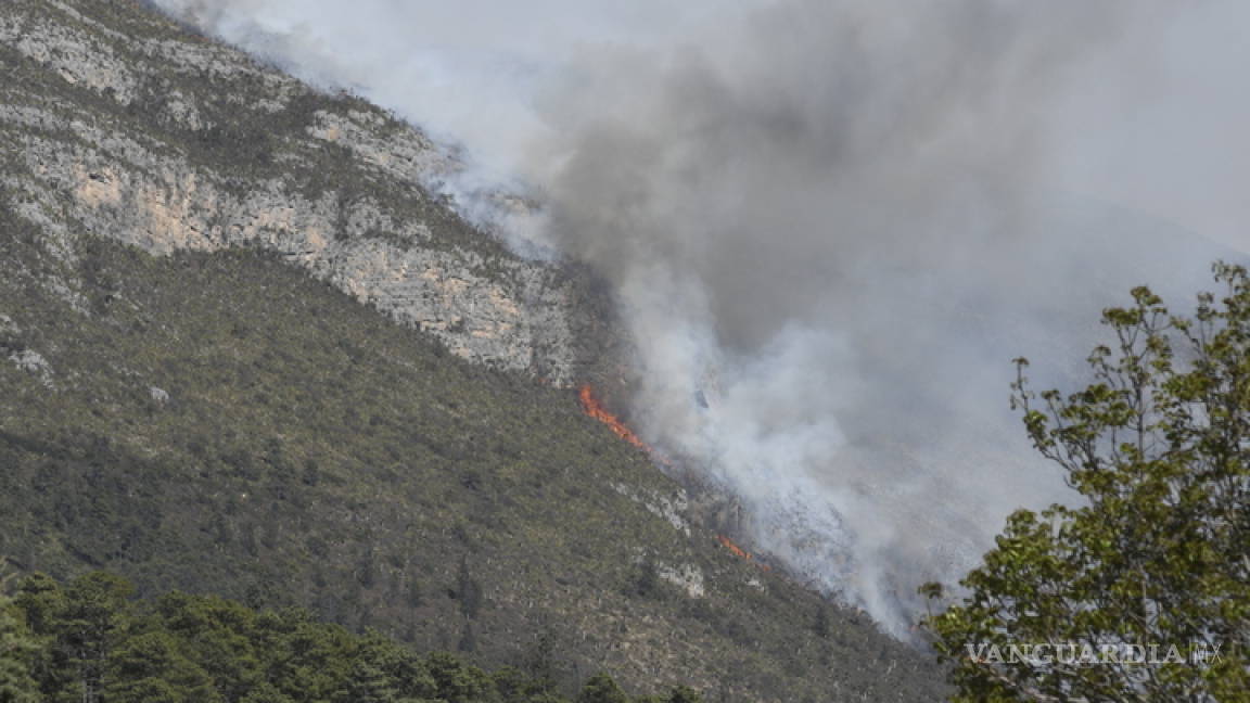 Conafor afirma que temporadas de incendios forestales es la peor en años