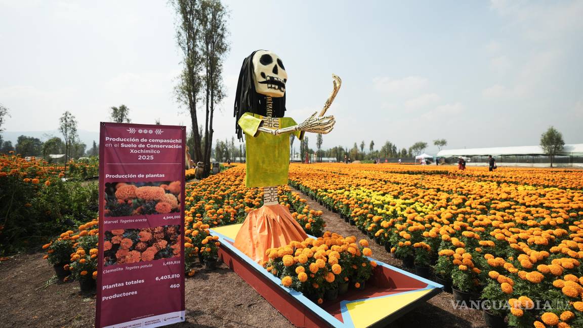$!Una Catrina da la bienvenida a una plantación de cempasúchil, antes de las celebraciones del Día de Muertos, en San Luis Tlaxialtemalco.
