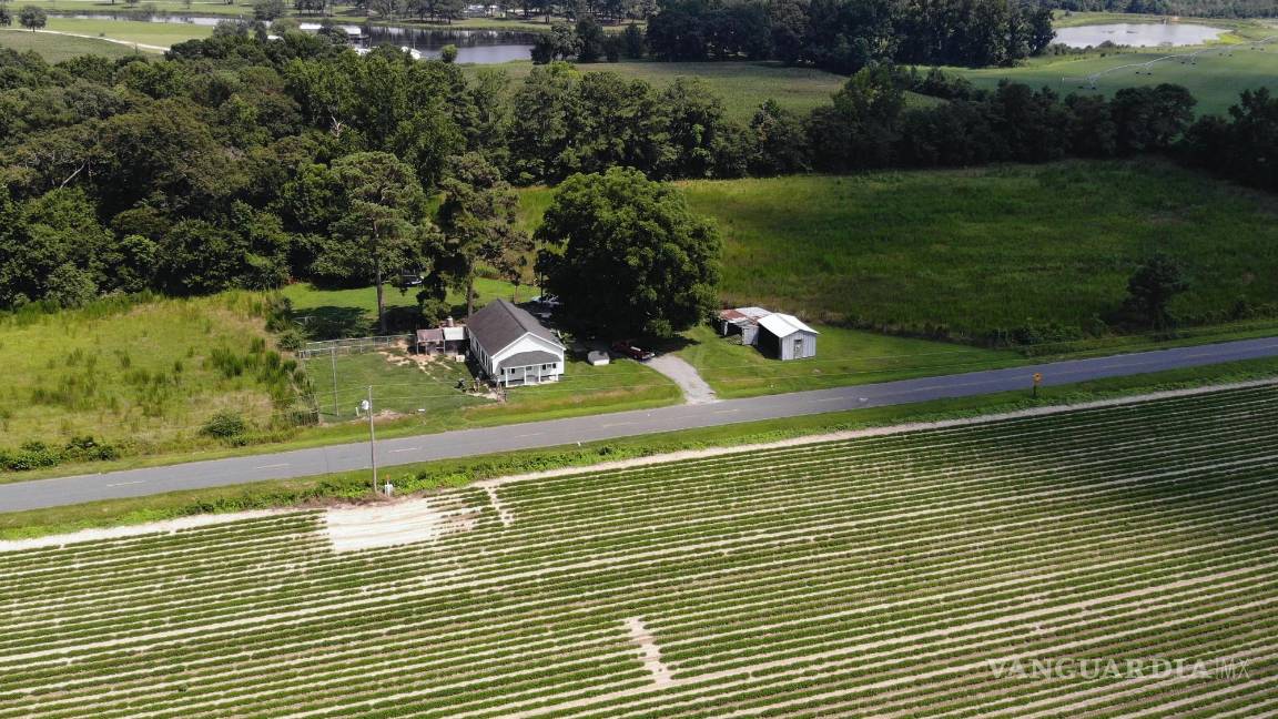 $!Campos de cultivo y bosques rodean la casa de Amy y Chris Arthur en las afueras de Mount Olive, Carolina del Norte, el lunes 15 de julio de 2024.