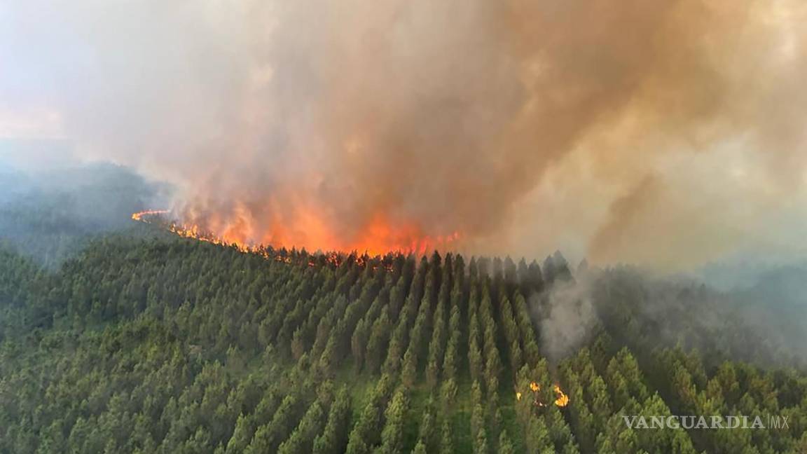 $!Esta foto proporcionada por el cuerpo de bomberos de la región de Gironde (SDIS 33) muestra un incendio forestal cerca de Landiras, suroeste de Francia.