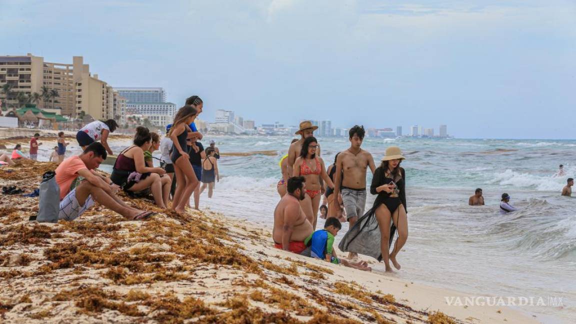 Sargazo de Cancún es ocultado en tiraderos clandestinos