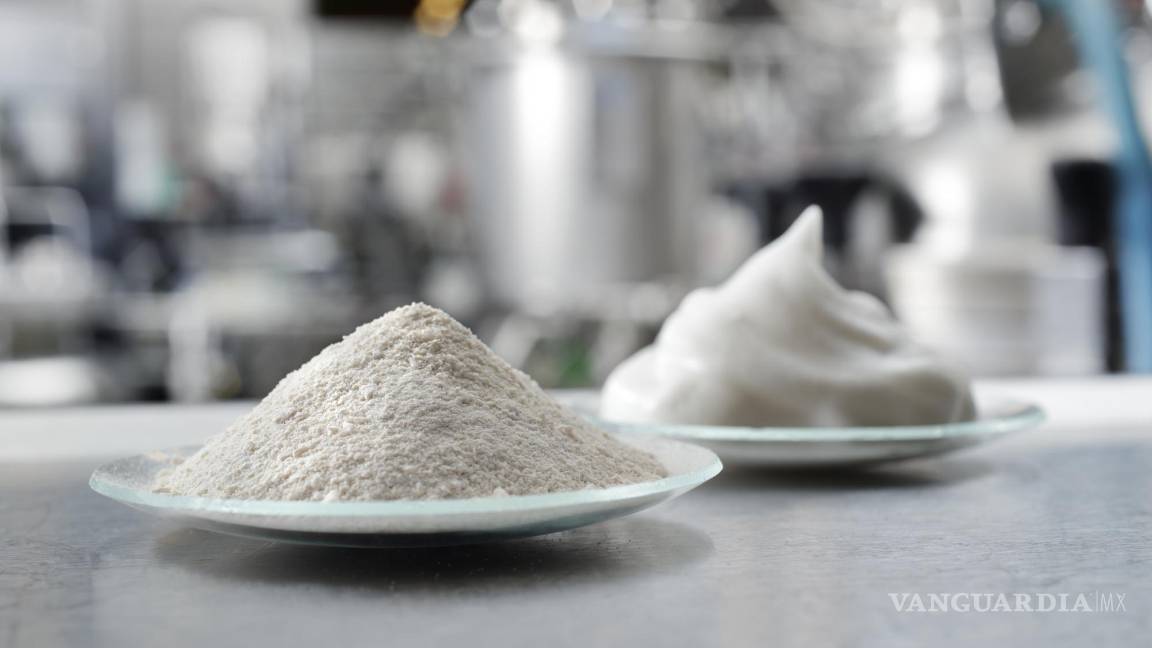 $!Polvo y espuma proteica producidas mediante biotecnología, en laboratorio. EFE/VTT