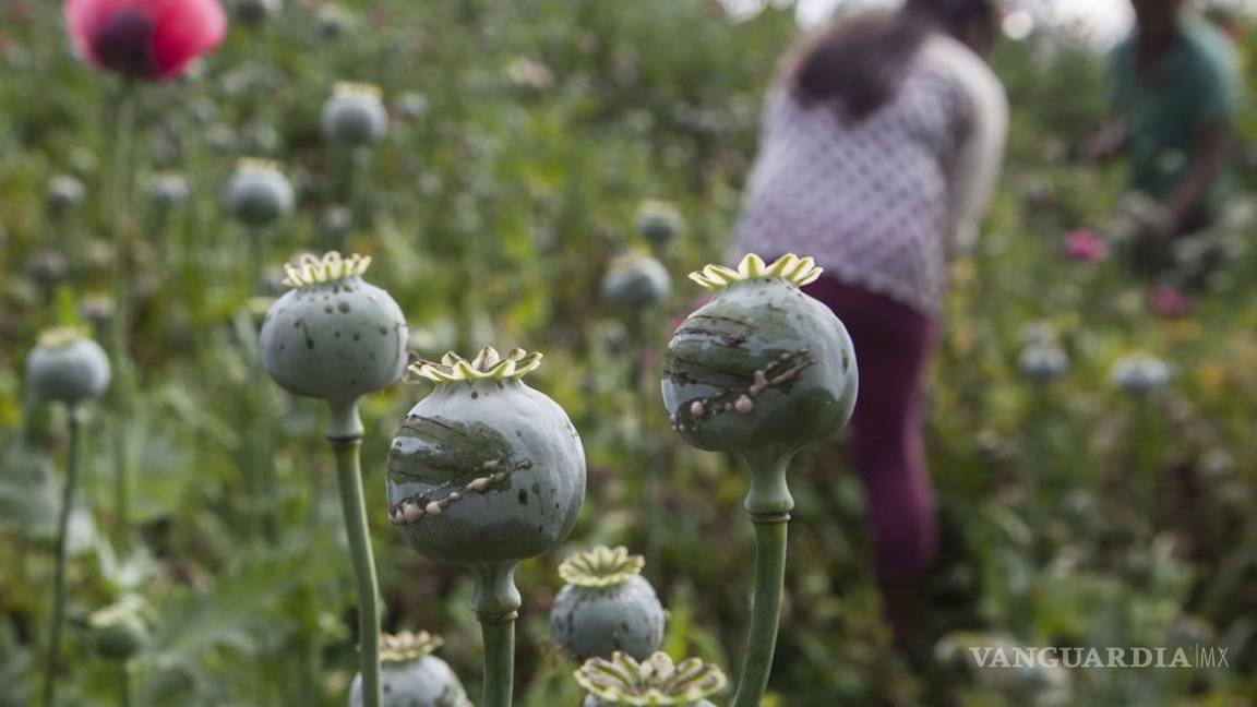 Autoridades rescatan a 21 personas obligadas a sembrar droga en Chihuahua