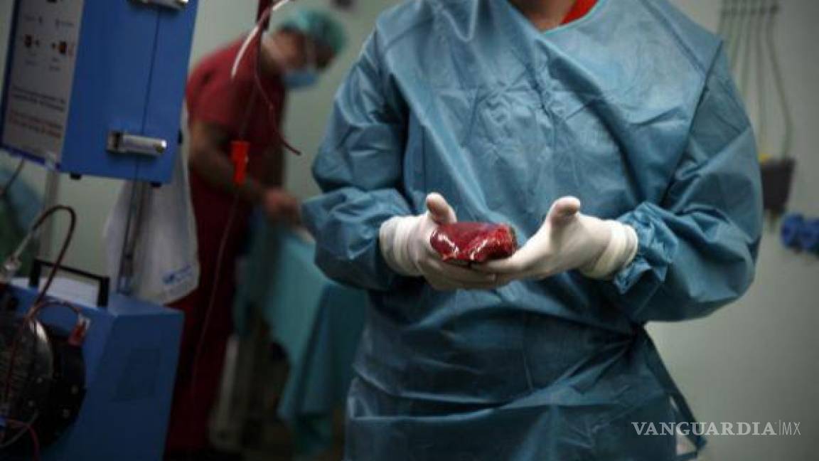 ¿Donación obligatoria de órganos en México?, diputados buscan implementarla