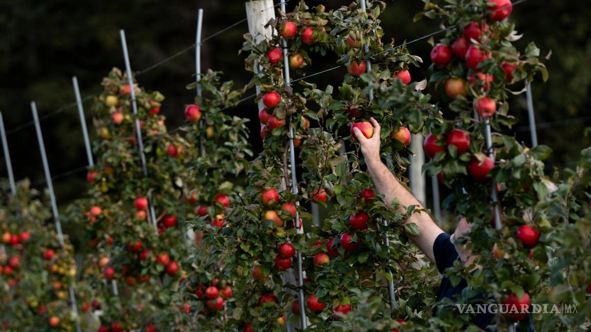 $!Si no se efectúan cambios sustanciales en el sistema alimentario, los peores efectos del cambio climático serán inevitables.