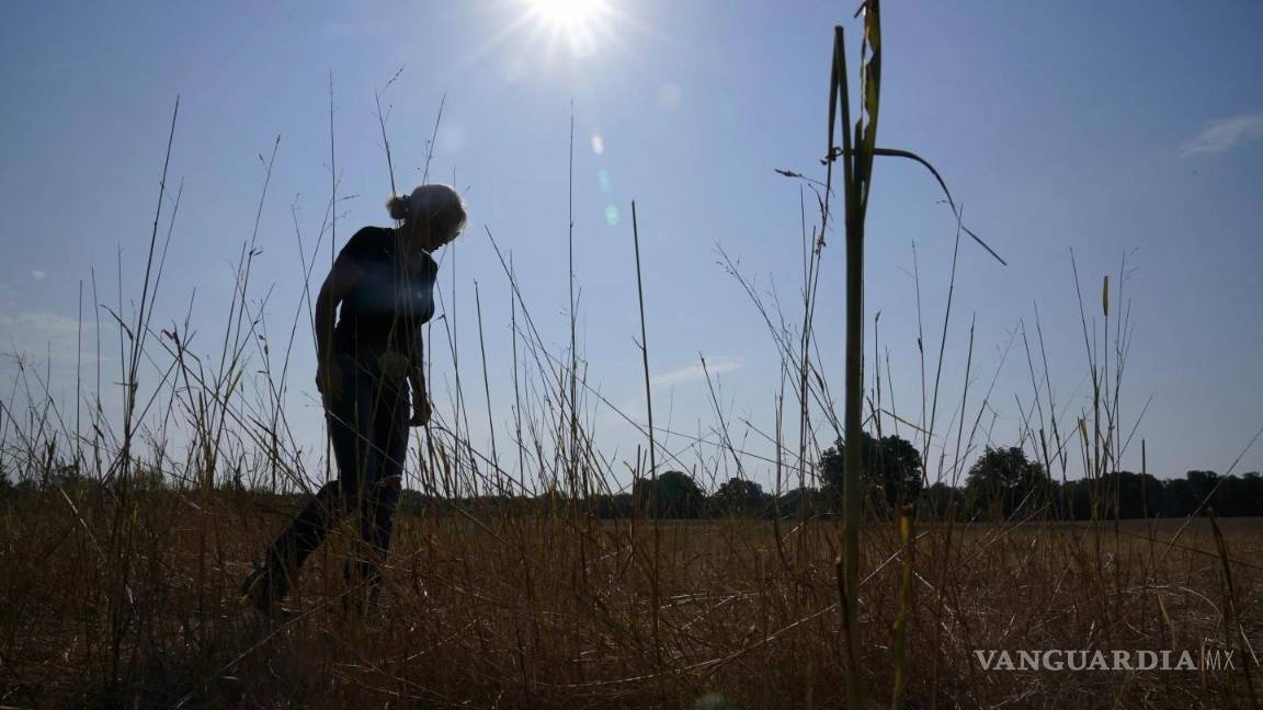 $!La evaluación climática suele ser elaborada por científicos y colaboradores expertos de todo el país.