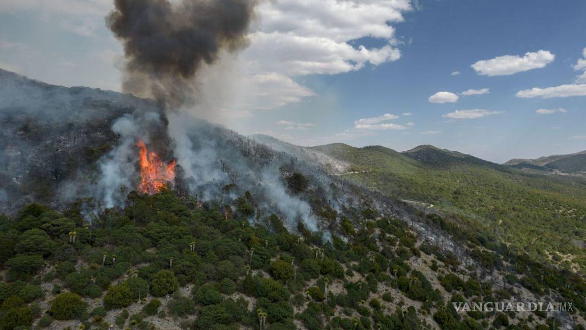 Incendio en Mazapil, Zacatecas afecta más de 110 hectáreas