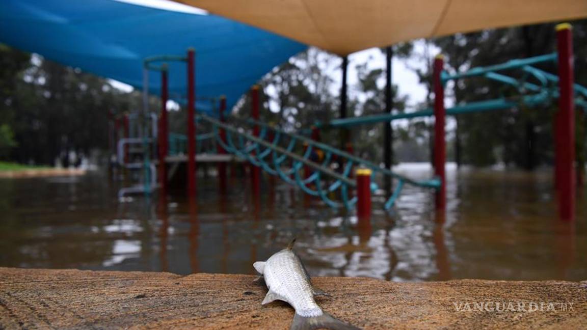 $!Evacuan a 18 mil personas por las peores inundaciones en décadas en Australia