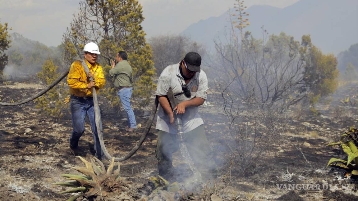 Incendio en Artega deja 150 hectáreas afectadas, rachas de viento dificultan el combate al fuego