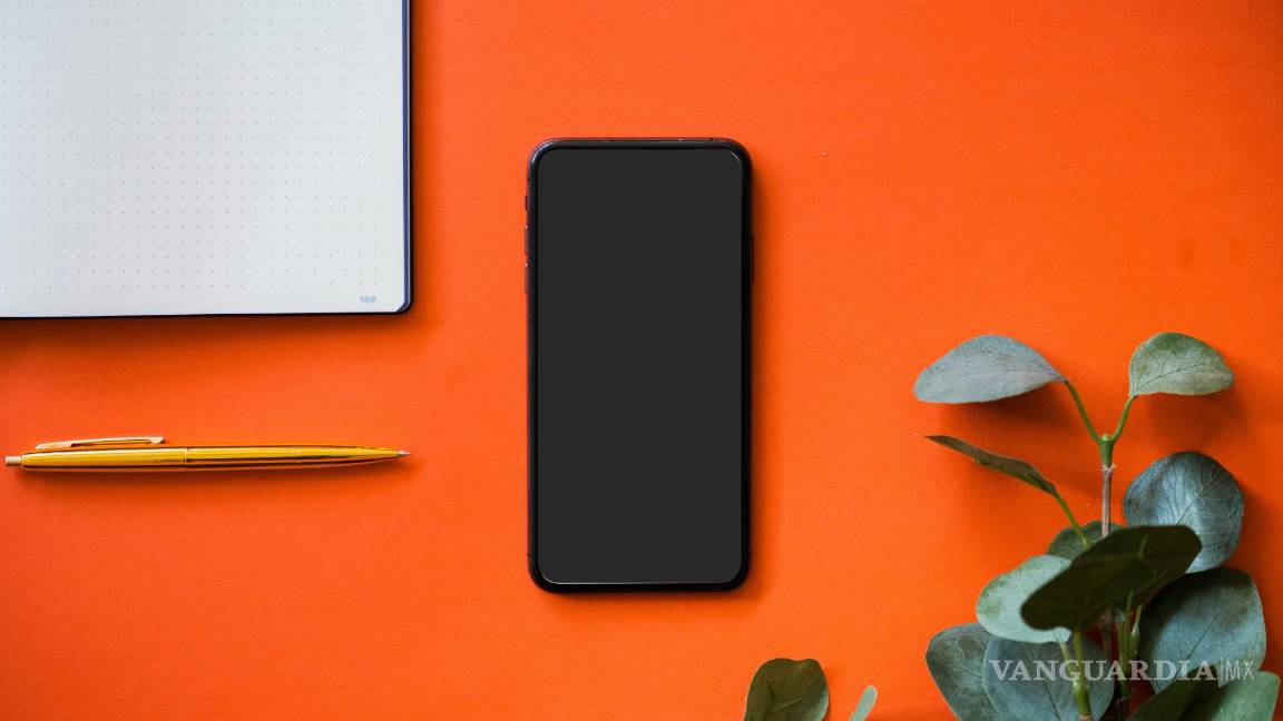 $!Los celulares son una forma de comunicación rápida. En situaciones de emergencia, los estudiantes pueden pedir ayuda rápidamente.