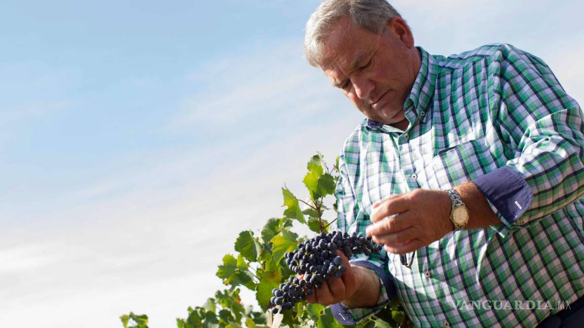 $!Rioja, calidad y filosofía en los vinos