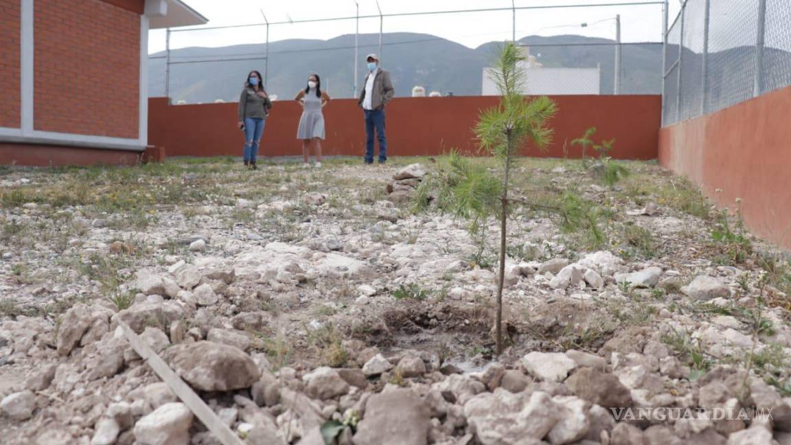 Arrancan en escuelas tareas de reforestación en Coahuila