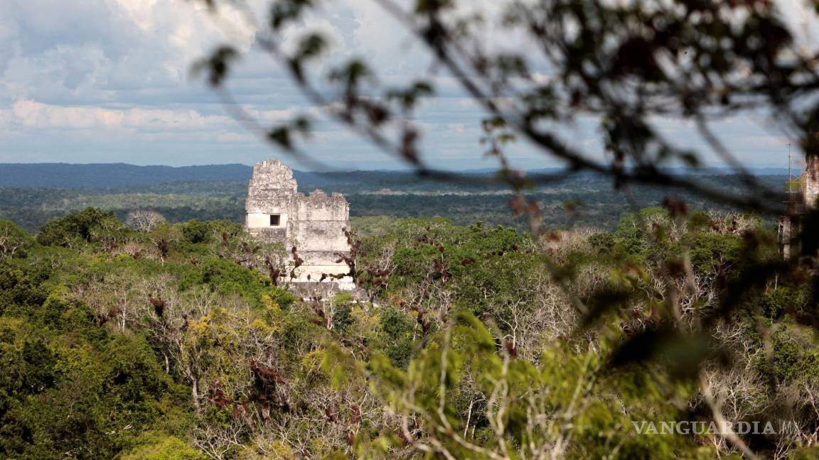 $!Vista del parque arqueológico Tikal, en el medio de la selva de Petén (Guatemala). EFE/Esteban Biba